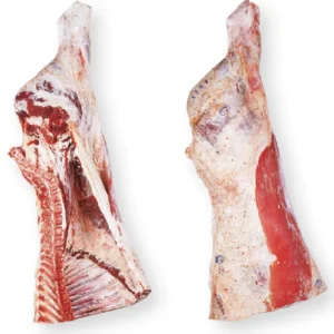 Frozen Beef Fore Quarters